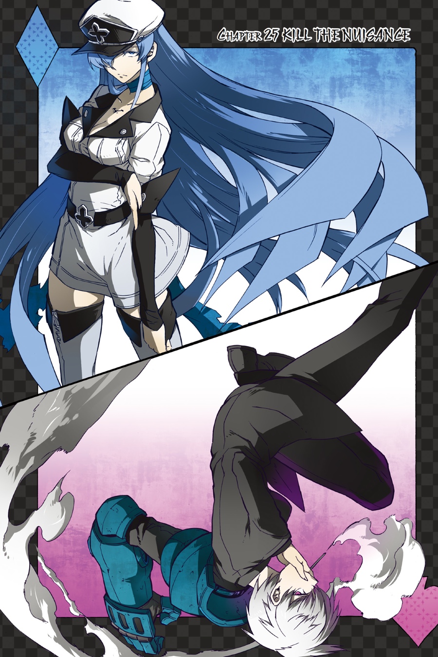 Read Akame ga Kill! EN Manga Online