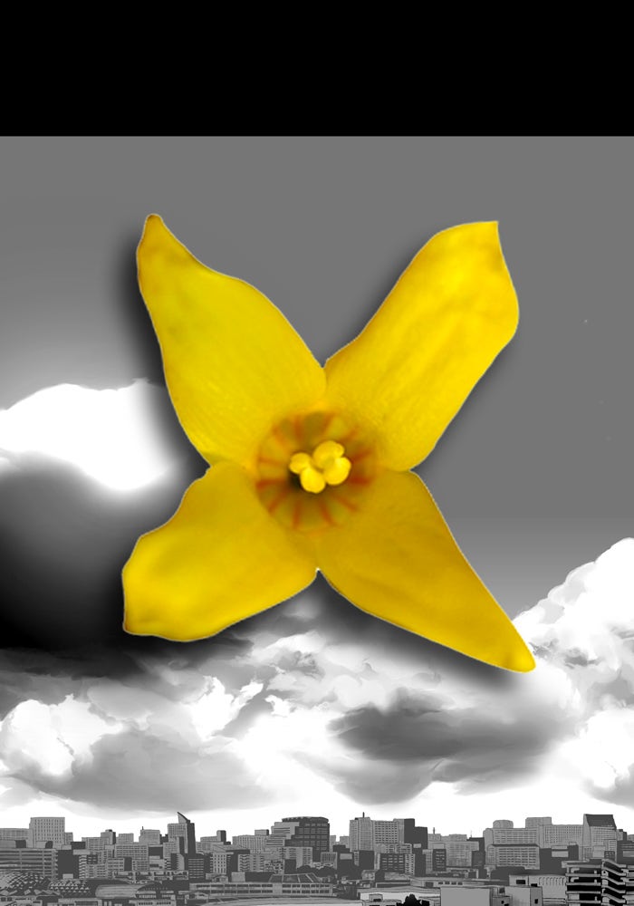 Read Annarasumanara EN Manga Online