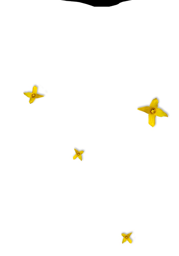 Read Annarasumanara EN Manga Online