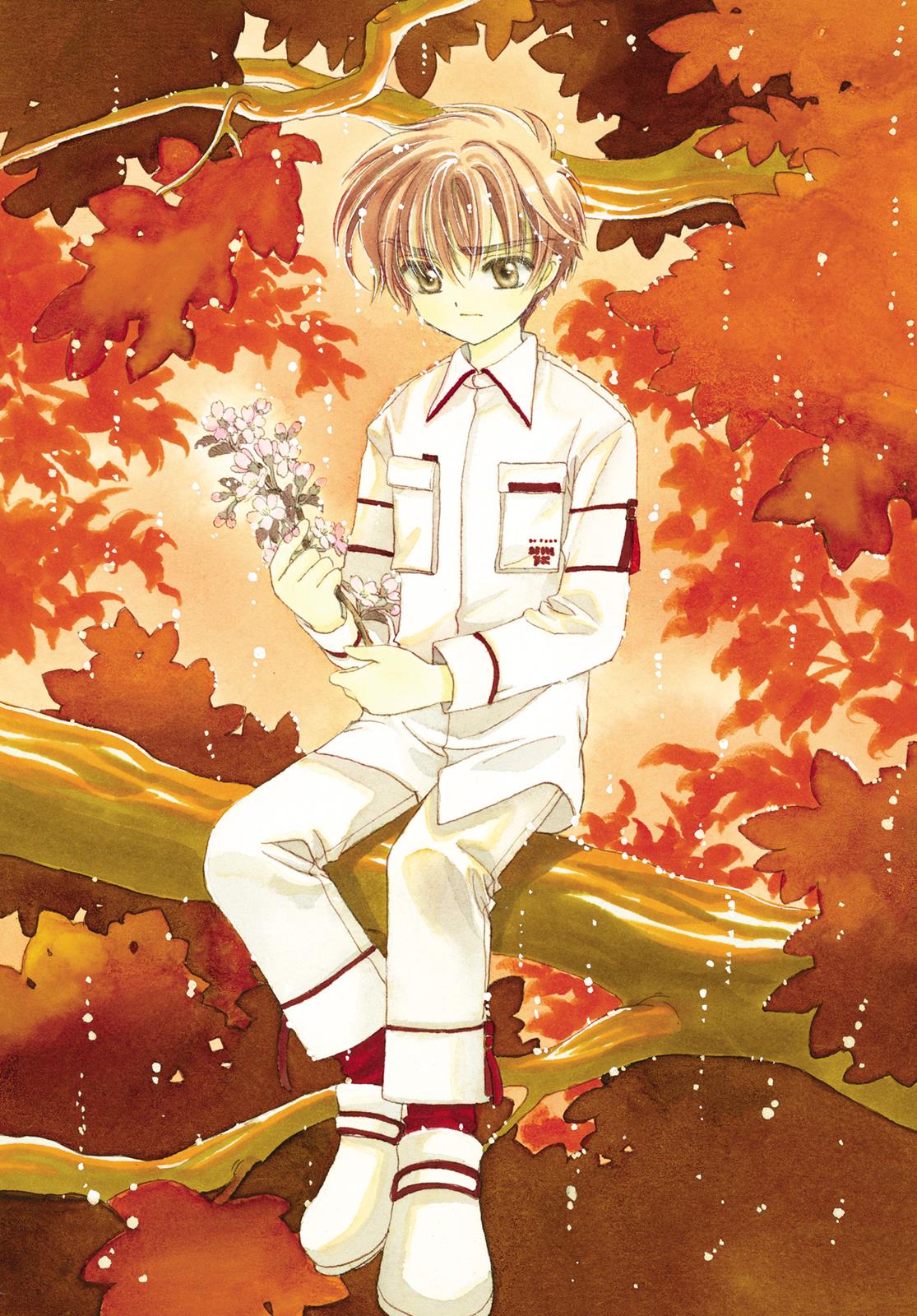 Read Cardcaptor Sakura EN Manga Online