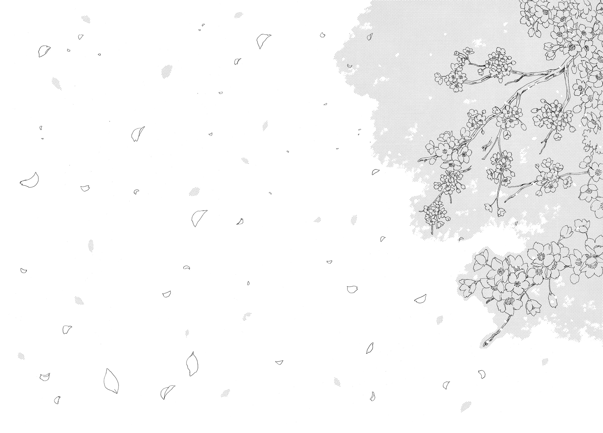 Read Cardcaptor Sakura EN Manga Online