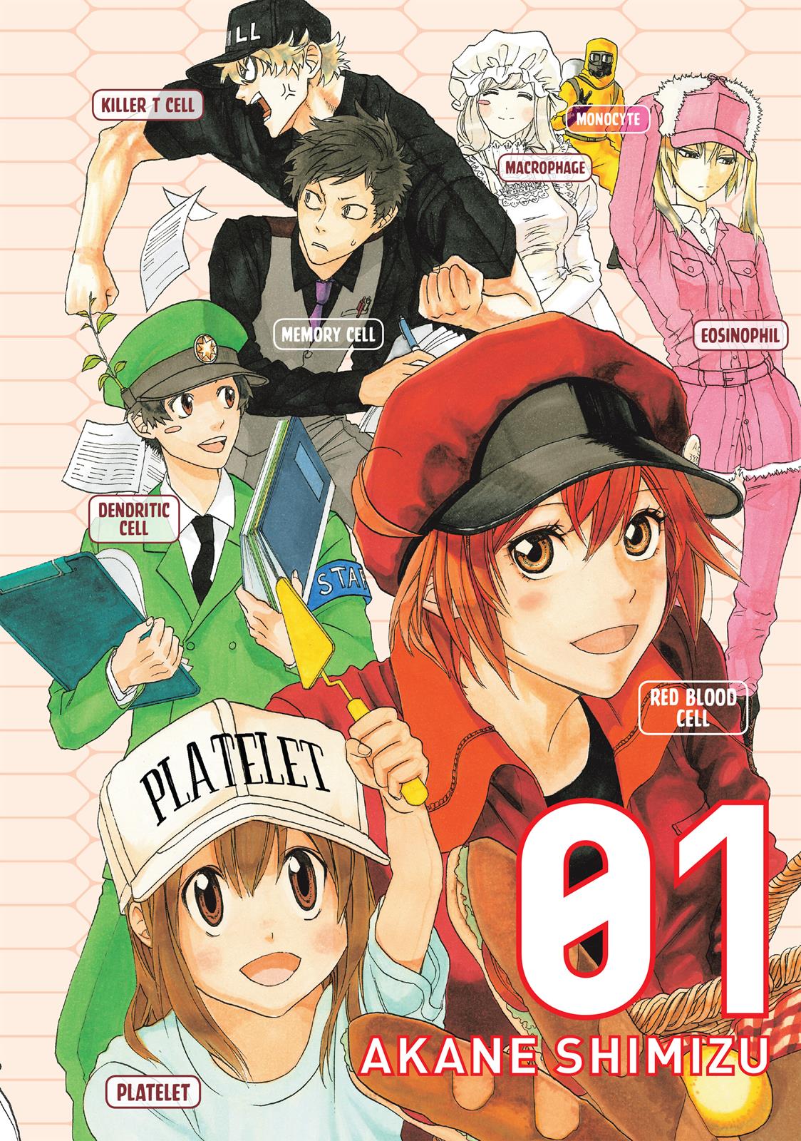 Read Cells at Work! EN Manga Online