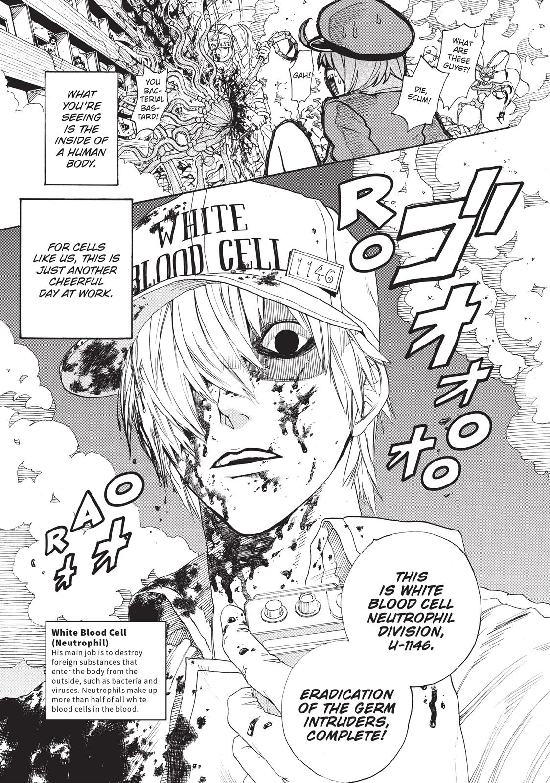 Read Cells at Work! EN Manga Online