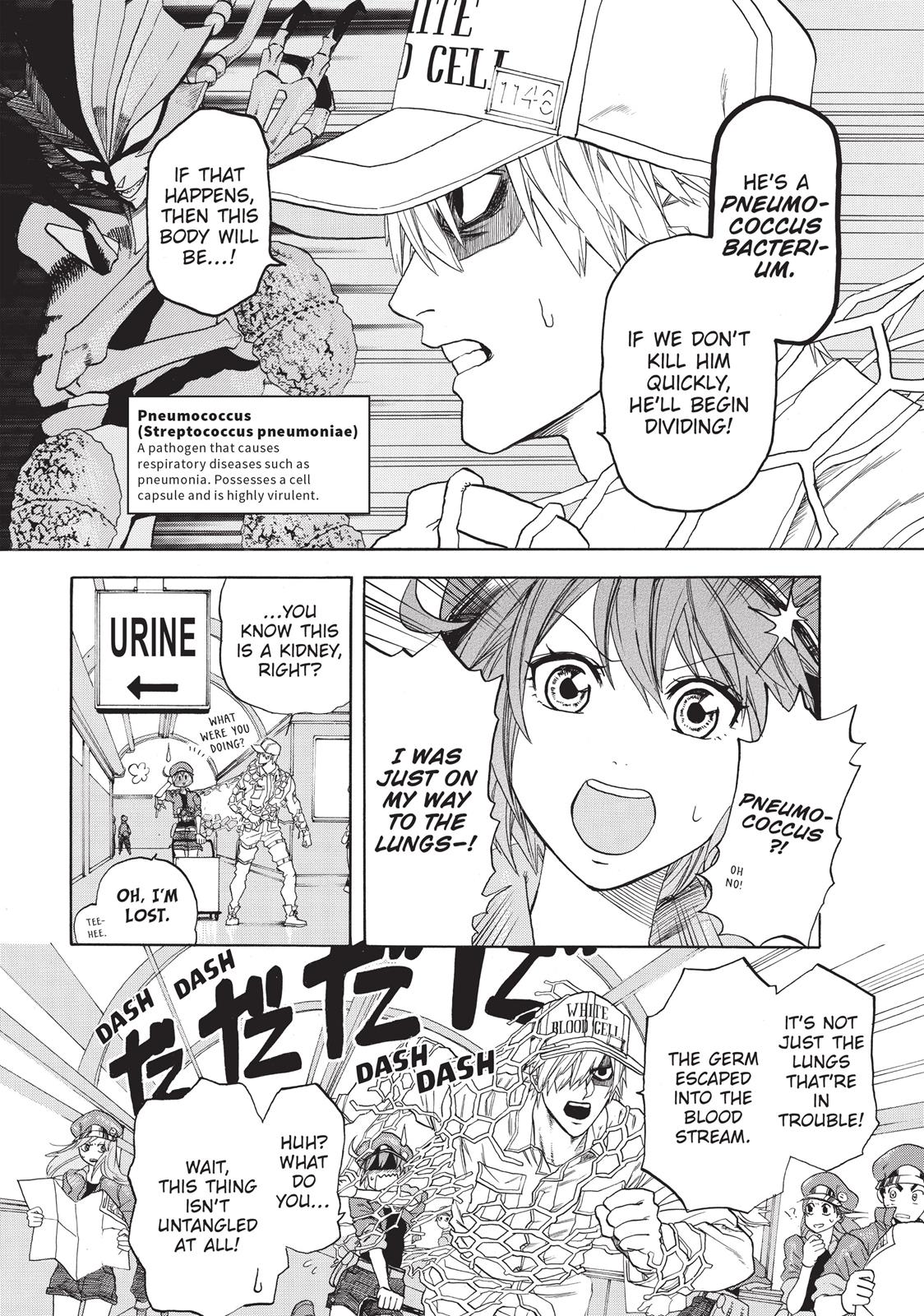 Read Cells at Work! EN Manga Online