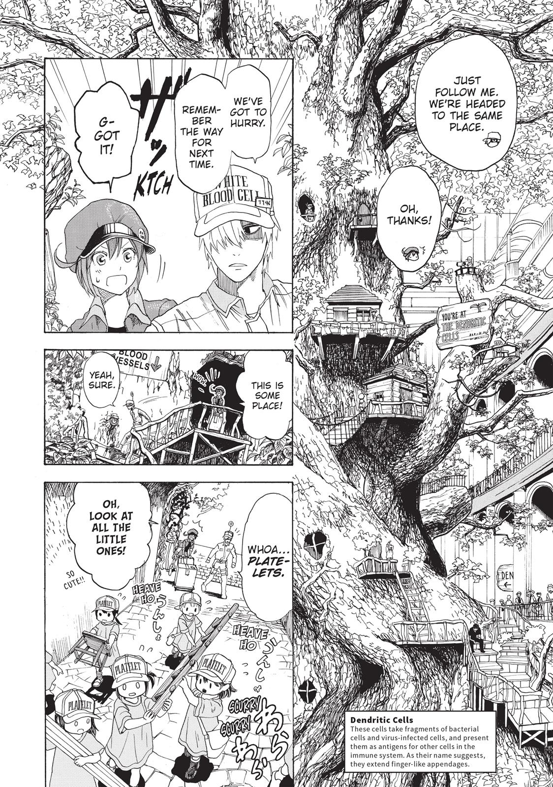 Read Cells at Work! EN Manga Online