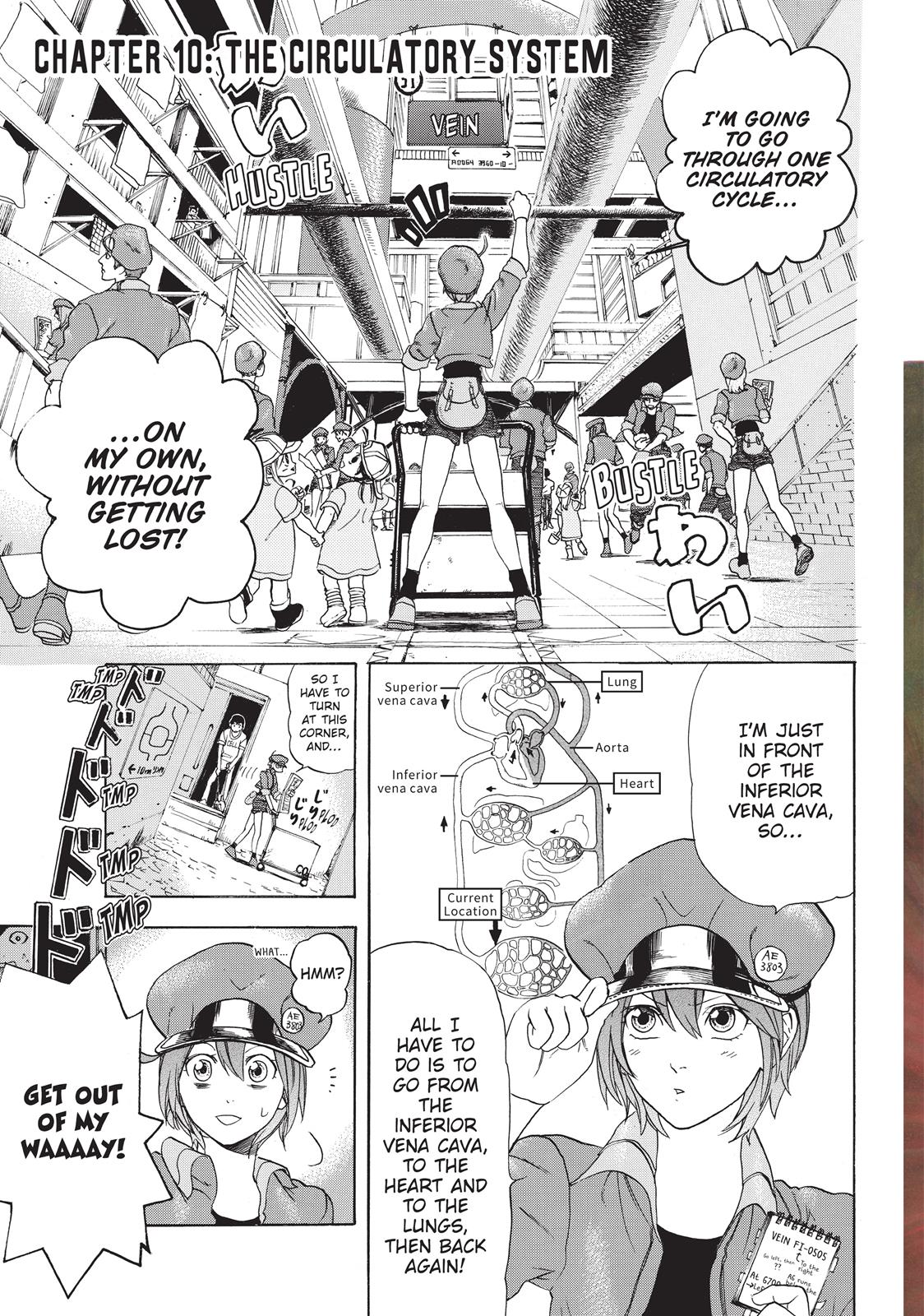 Read Cells at Work! EN Manga Online