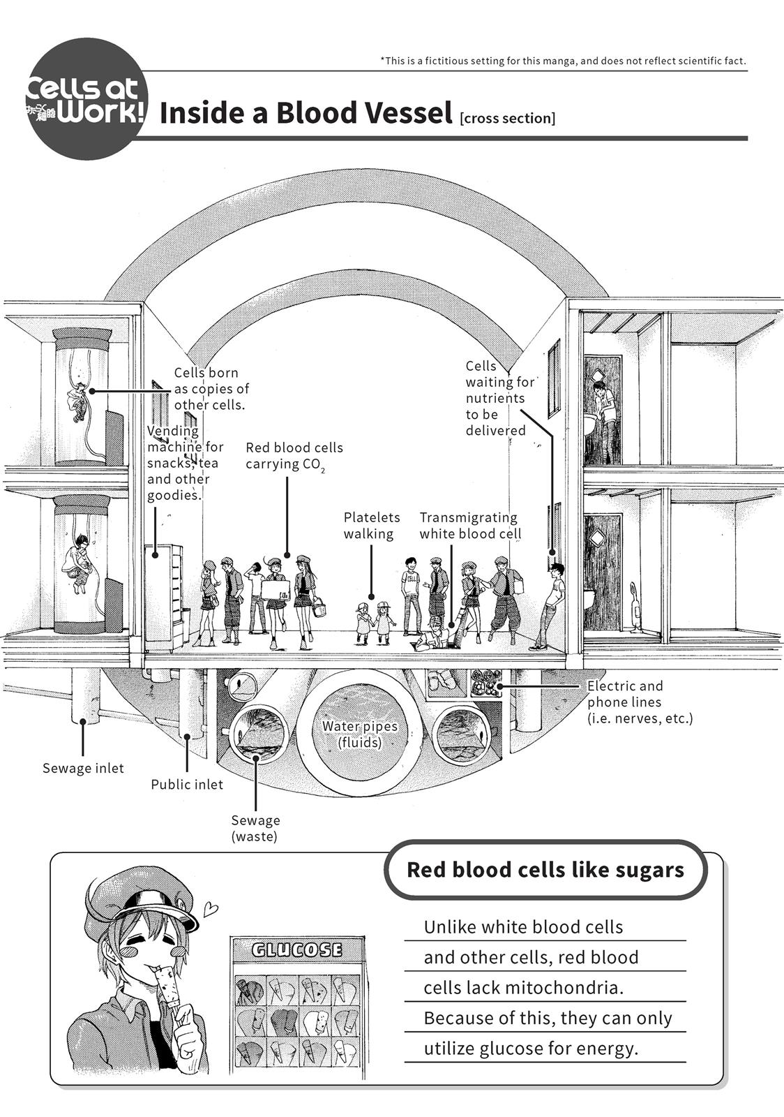 Read Cells at Work! EN Manga Online