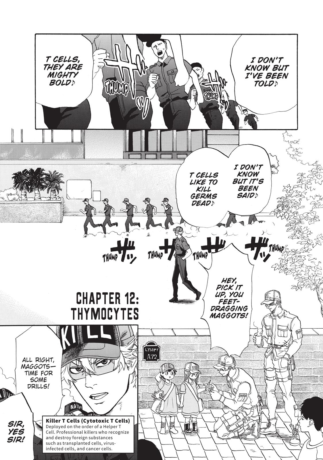 Read Cells at Work! EN Manga Online