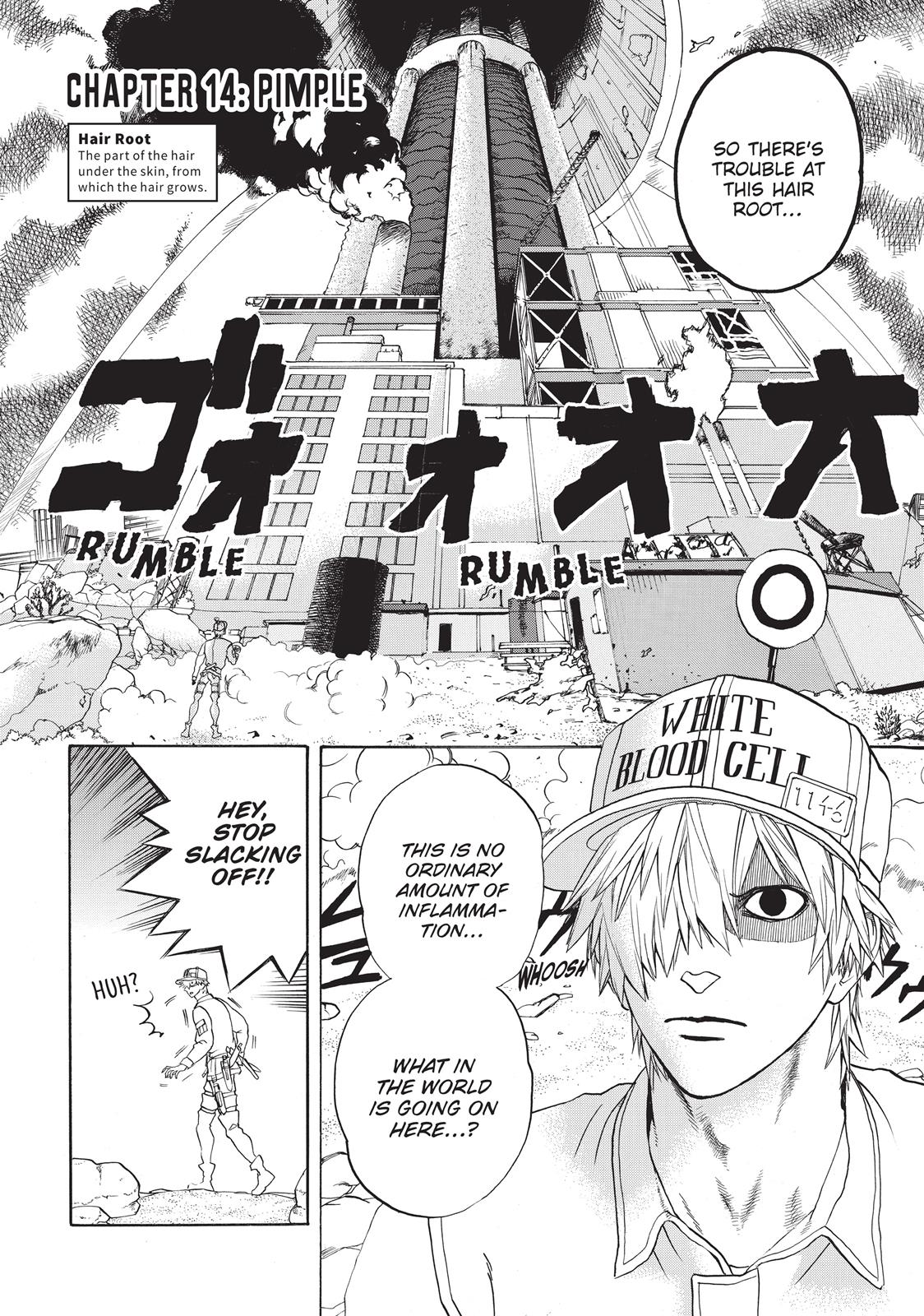 Read Cells at Work! EN Manga Online