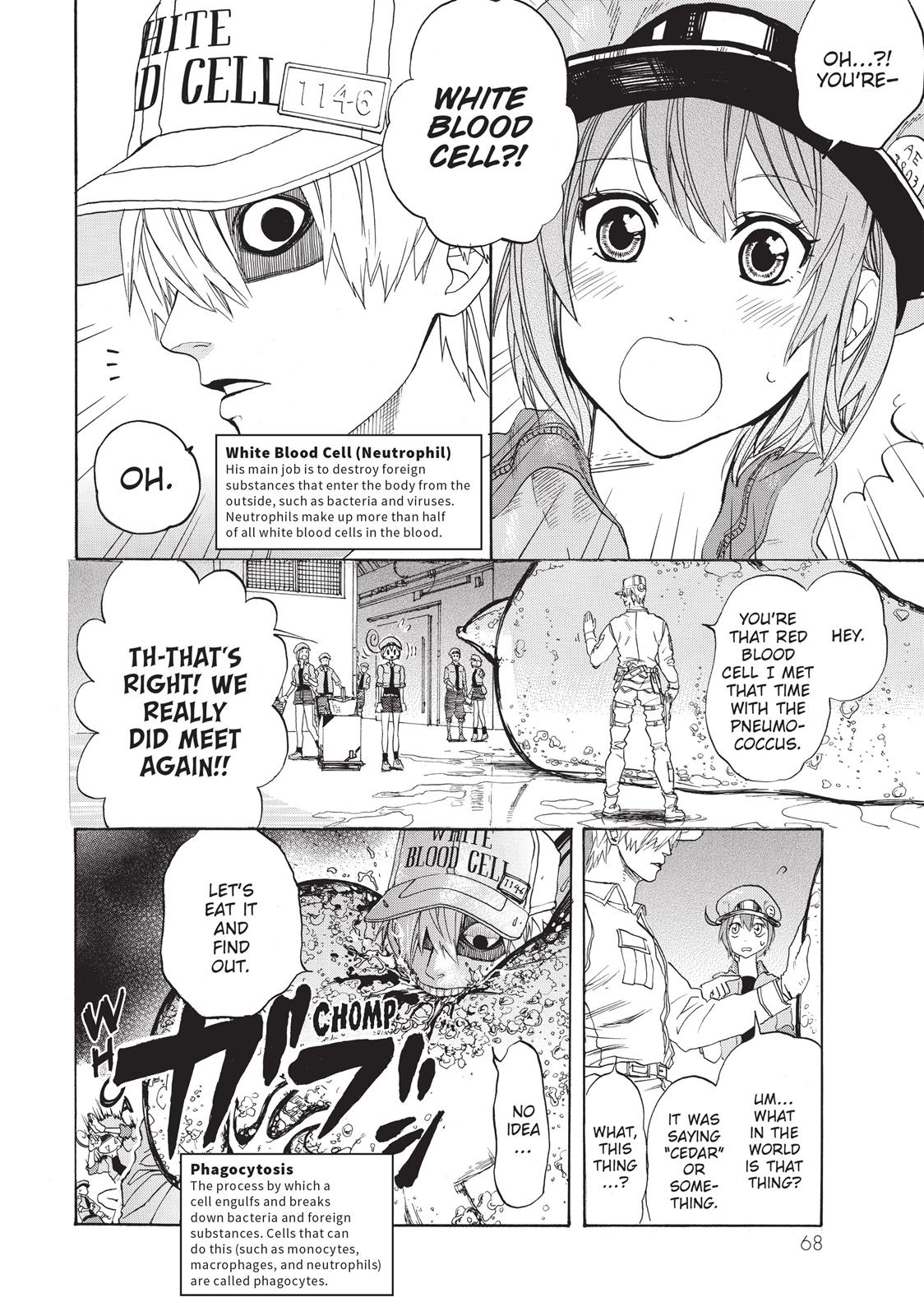 Read Cells at Work! EN Manga Online