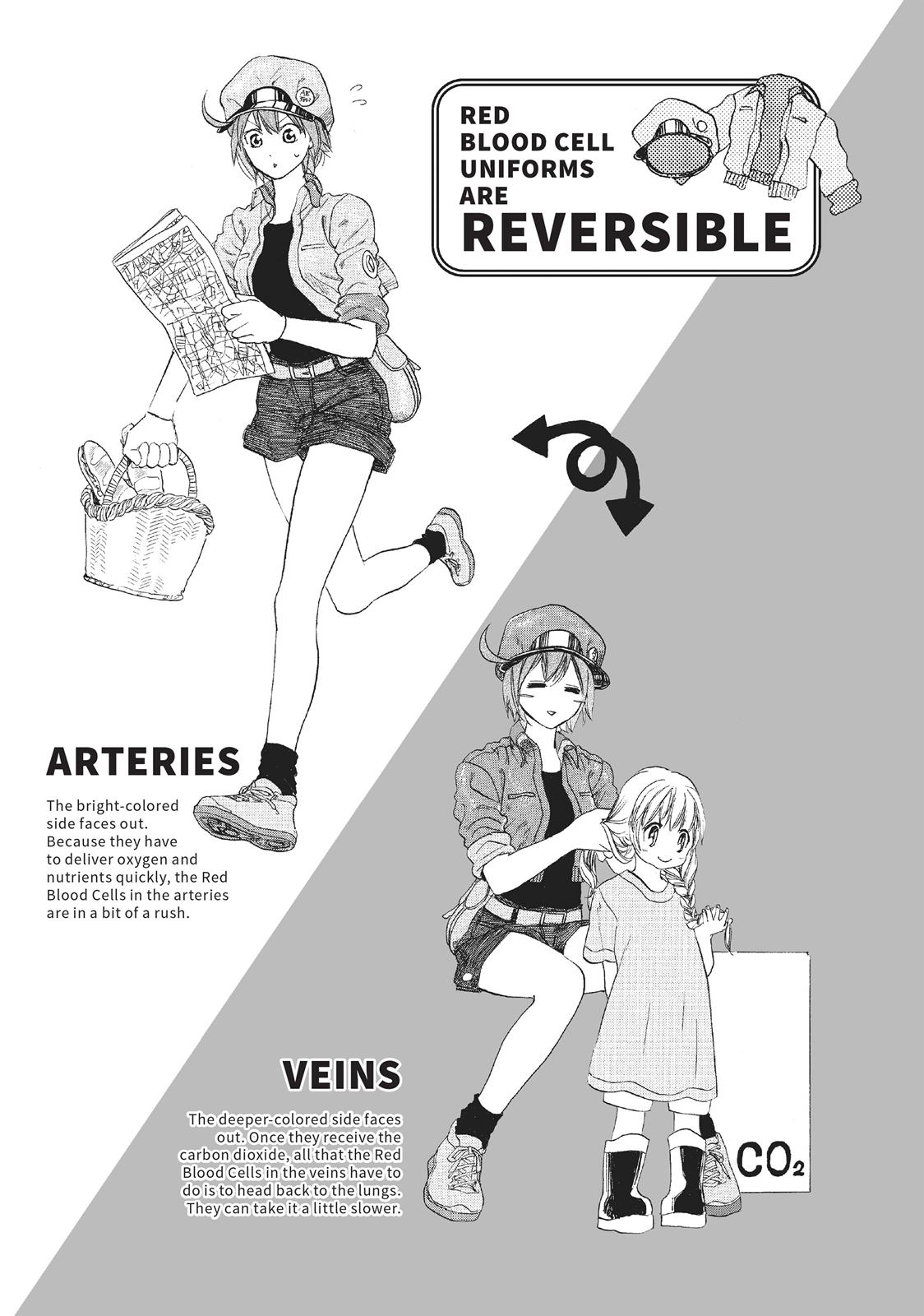 Read Cells at Work! EN Manga Online