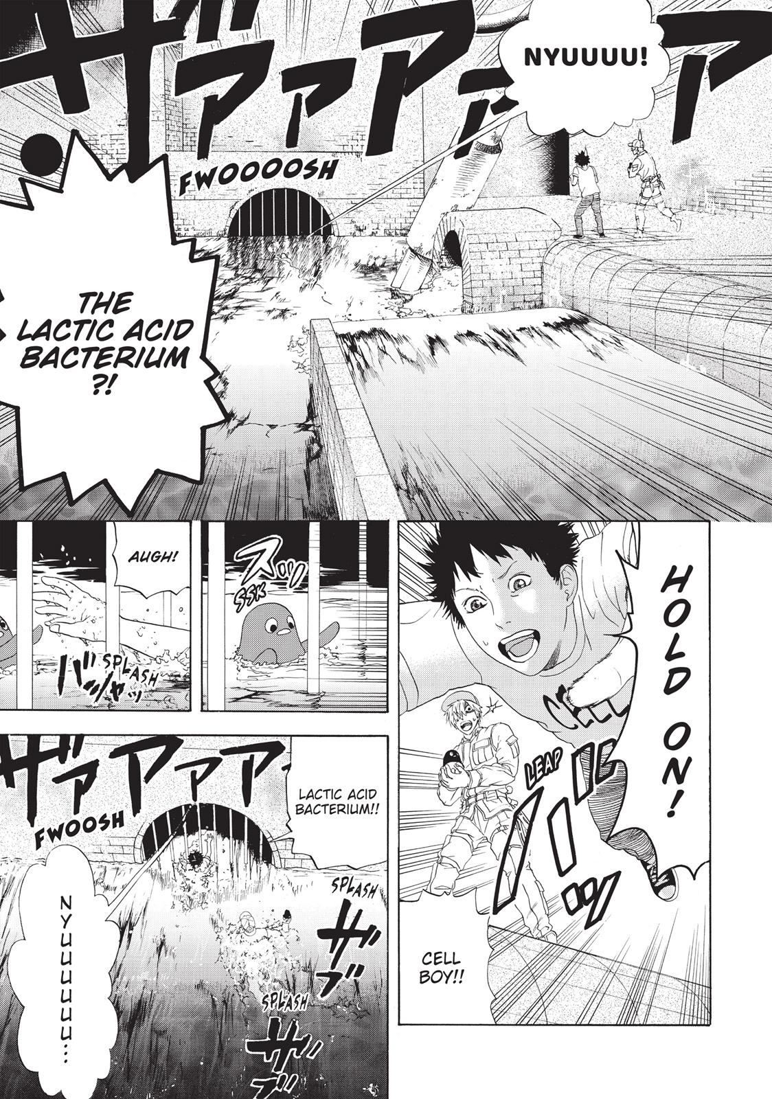 Read Cells at Work! EN Manga Online