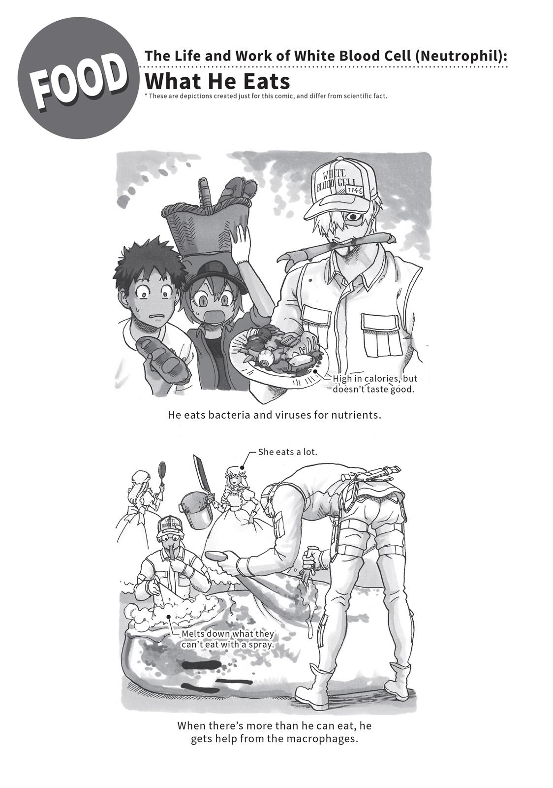 Read Cells at Work! EN Manga Online