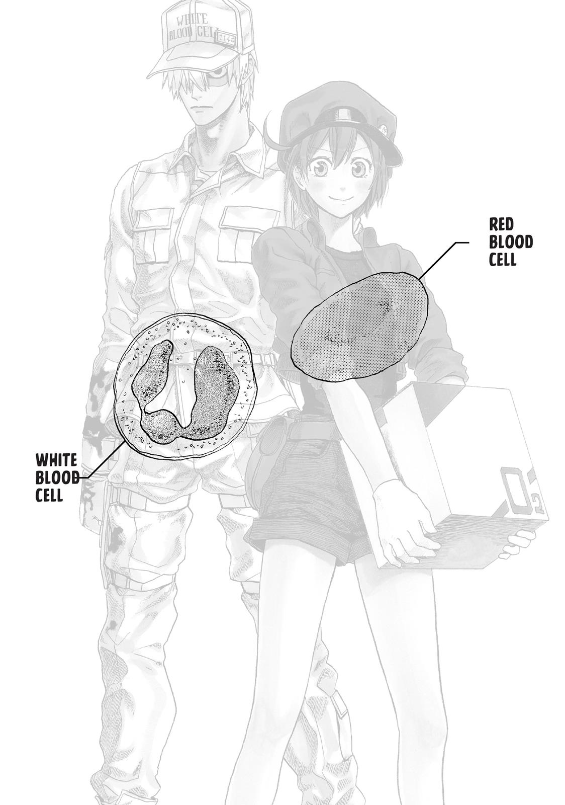 Read Cells at Work! EN Manga Online