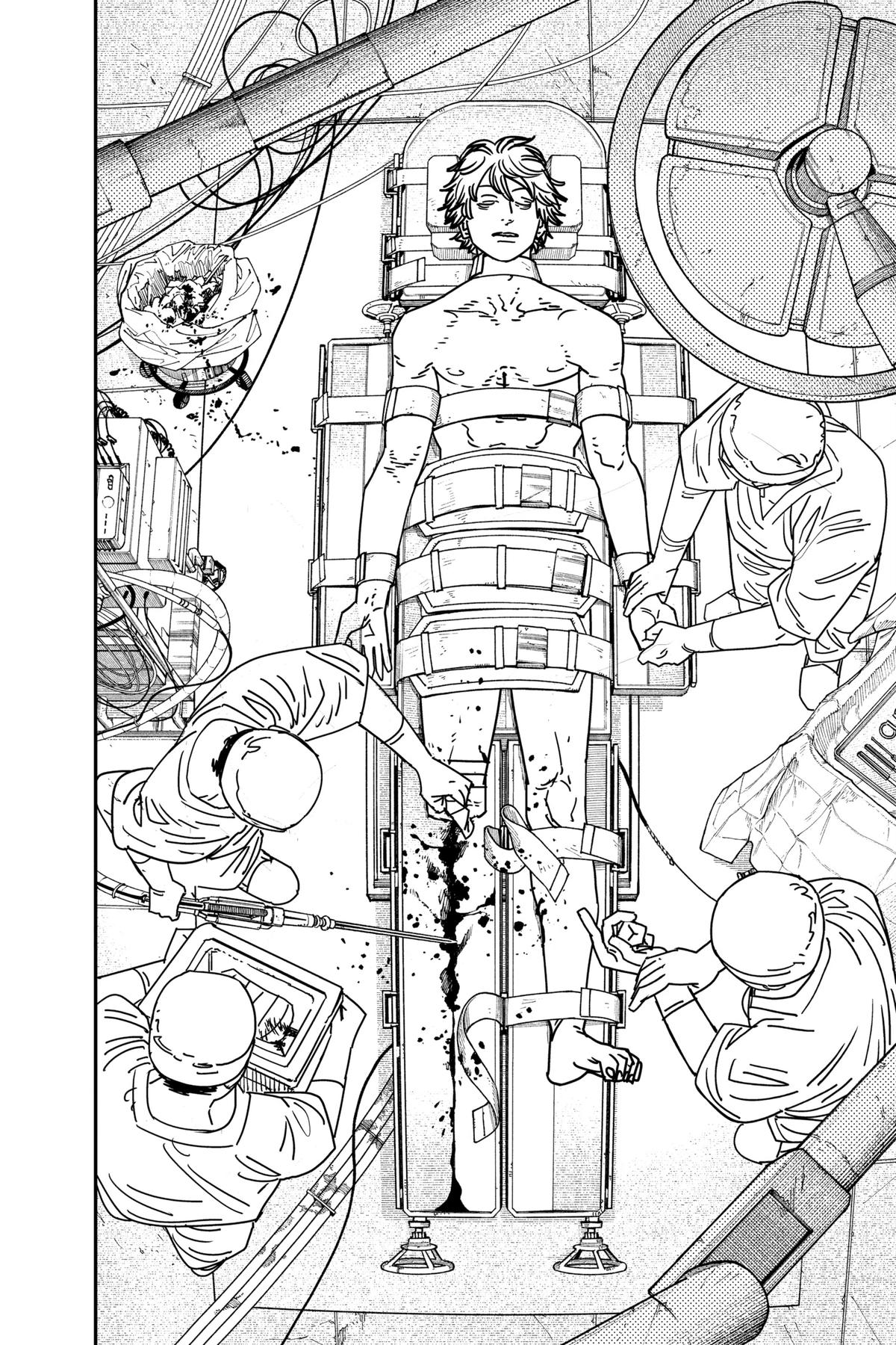 Read Chainsaw Man EN Manga Online