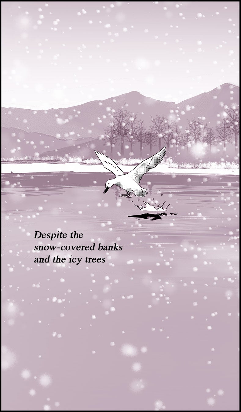 Read Daily Jojo EN Manga Online