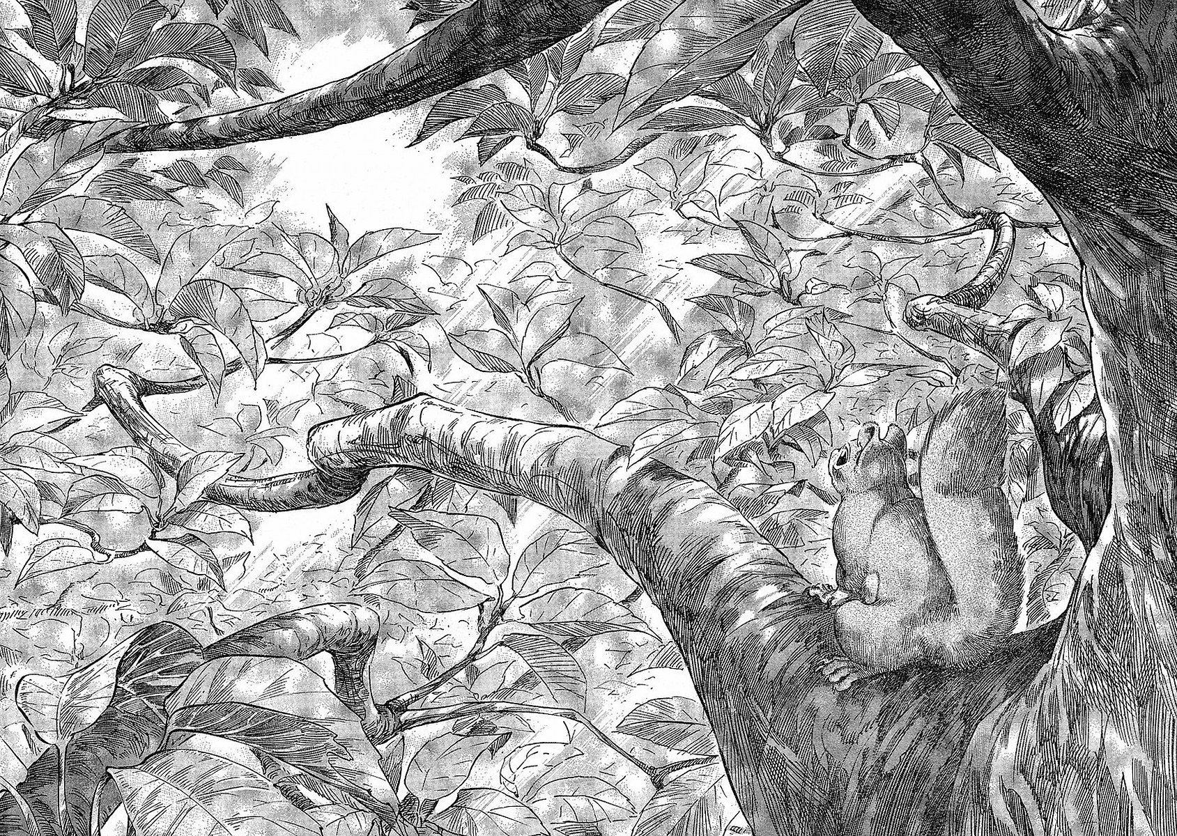 Read Emma EN Manga Online