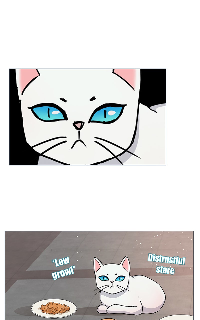 Read Freaking Romance EN Manga Online