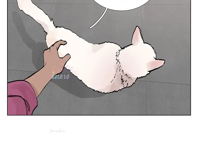 Read Freaking Romance EN Manga Online