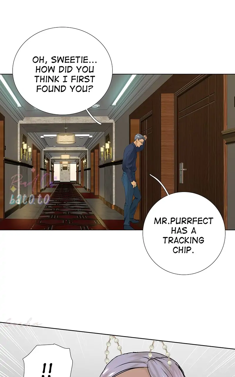 Read Freaking Romance EN Manga Online