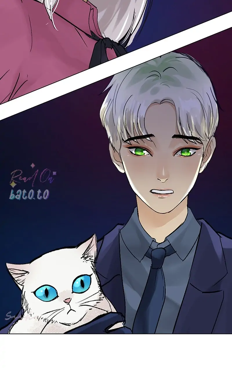 Read Freaking Romance EN Manga Online