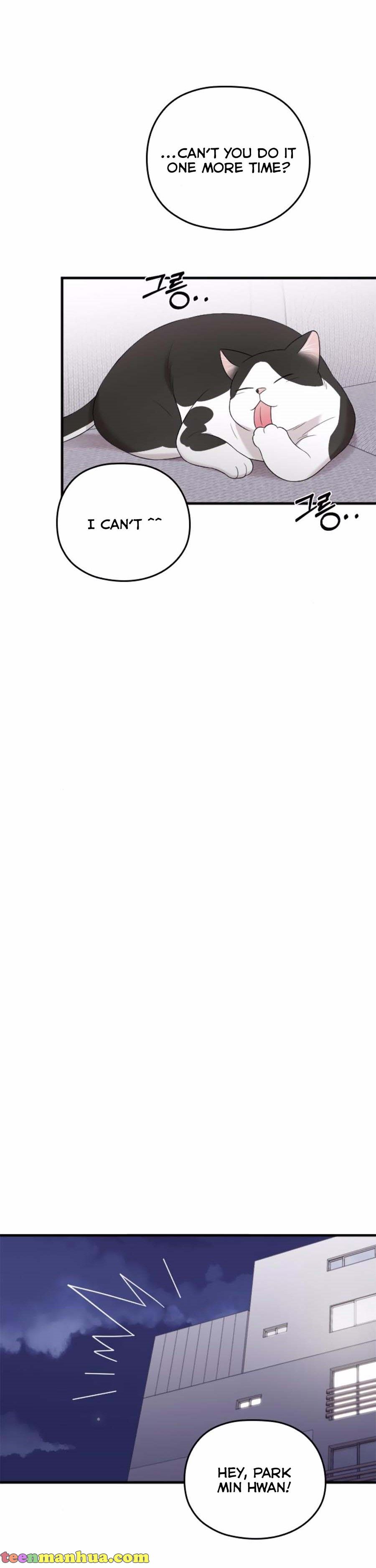 Read Marry My Husband EN Manga Online