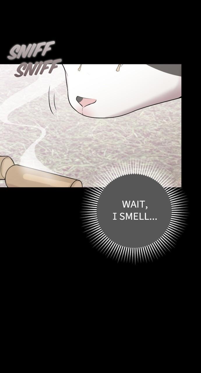 Read Marry My Husband EN Manga Online