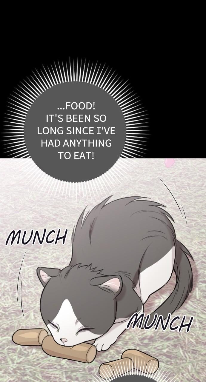 Read Marry My Husband EN Manga Online