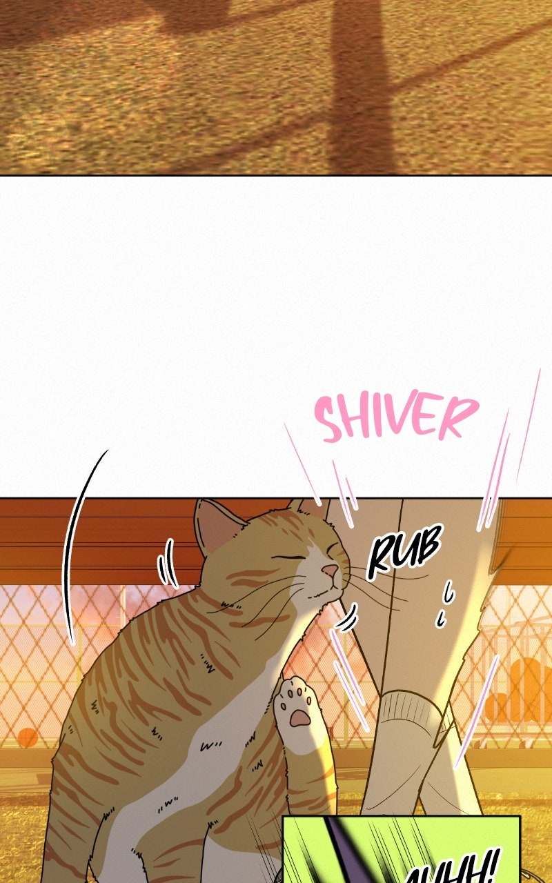 Read Operation True Love EN Manga Online