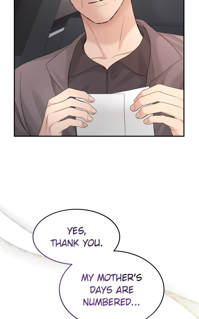 Read Perfect Marriage Revenge EN Manga Online