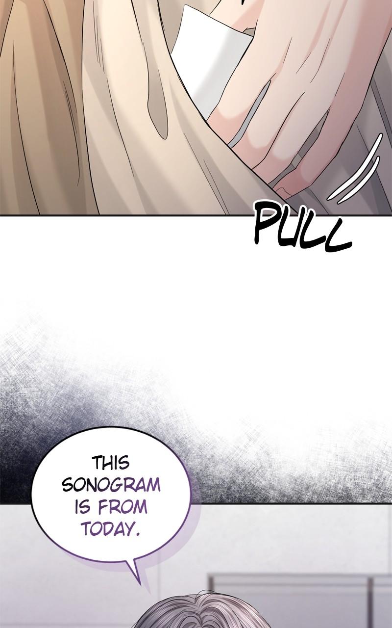 Read Perfect Marriage Revenge EN Manga Online