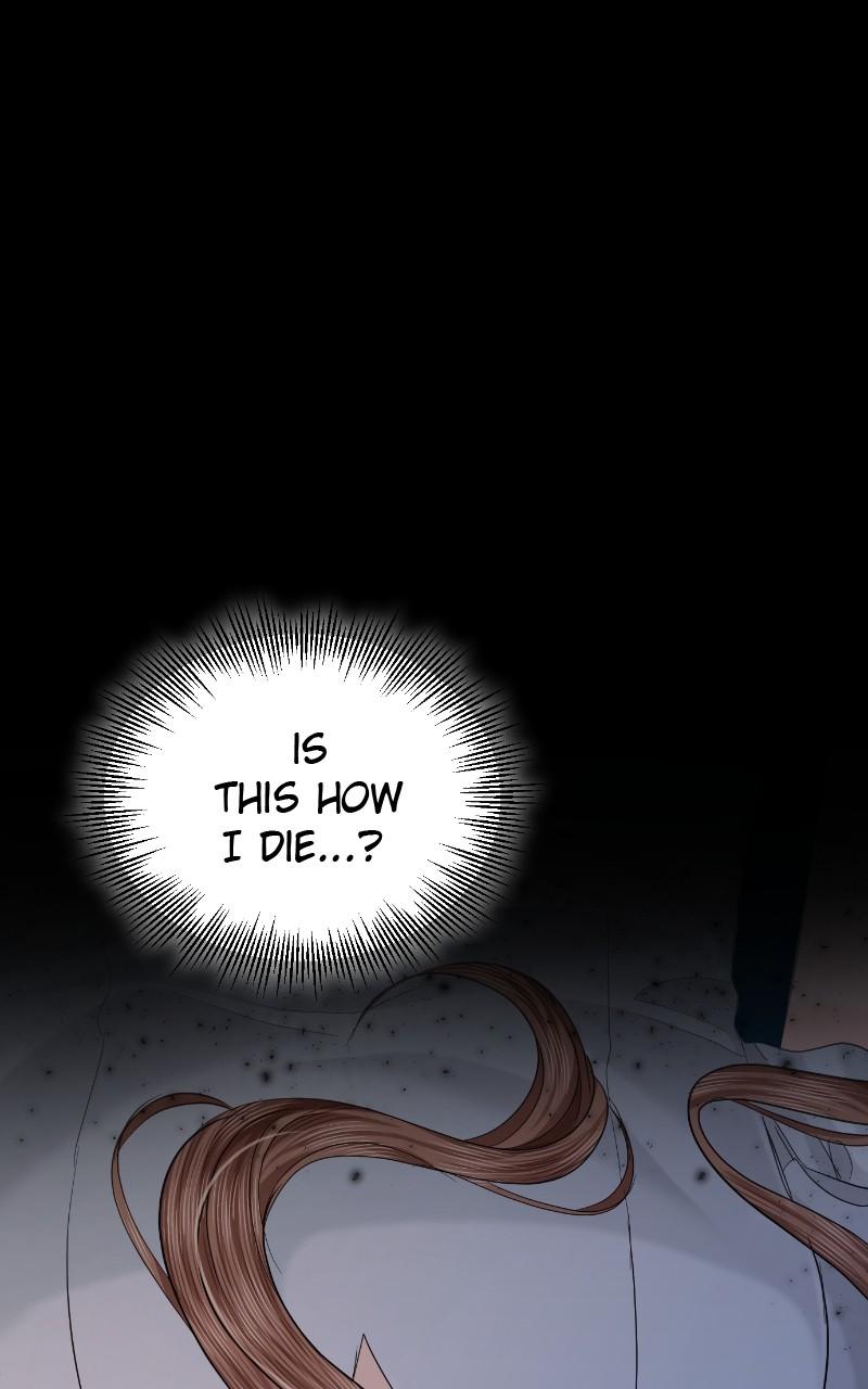 Read Perfect Marriage Revenge EN Manga Online