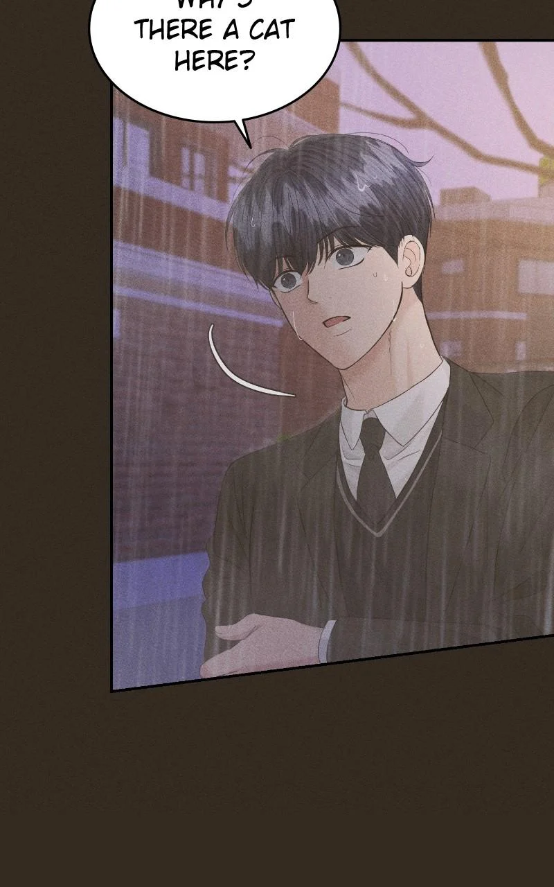 Read Perfect Marriage Revenge EN Manga Online