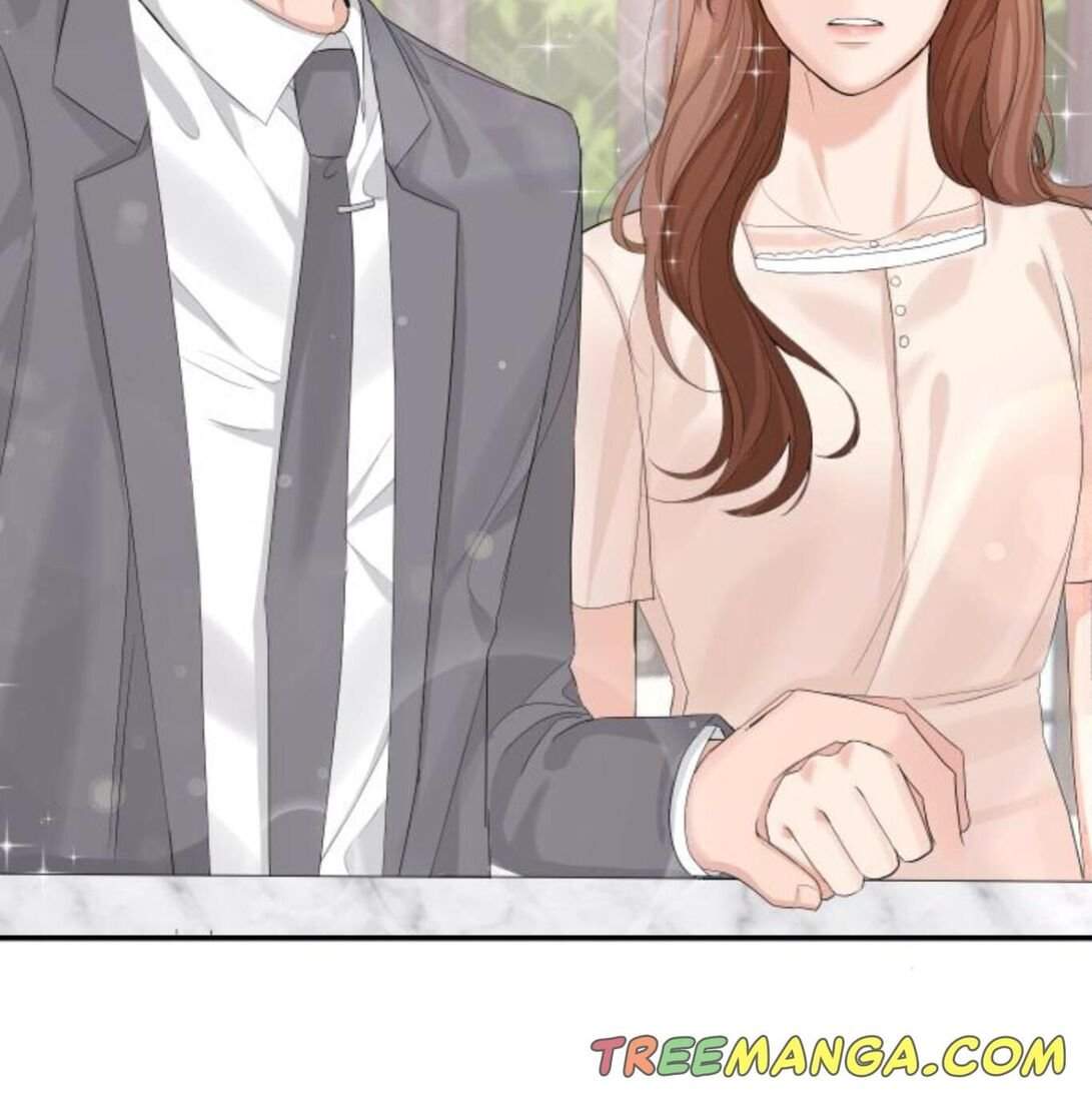 Read Perfect Marriage Revenge EN Manga Online