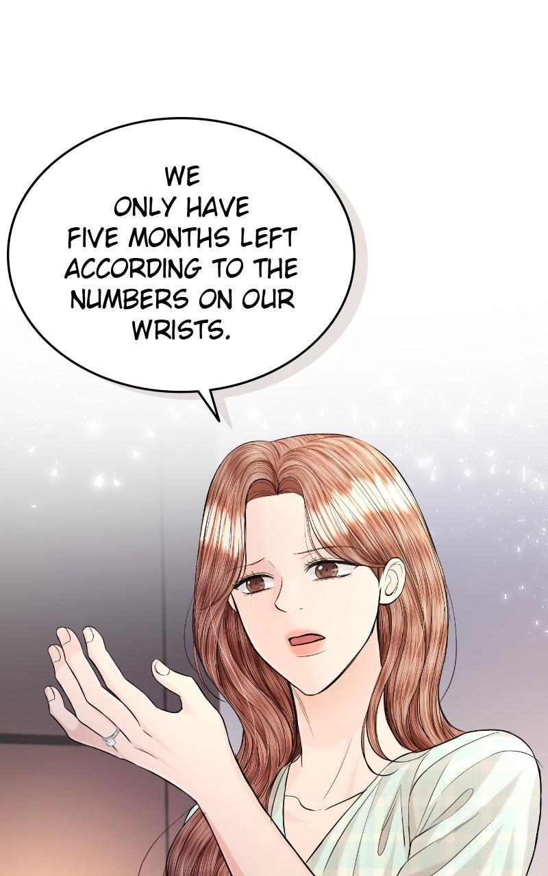 Read Perfect Marriage Revenge EN Manga Online