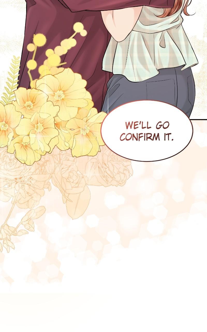 Read Perfect Marriage Revenge EN Manga Online