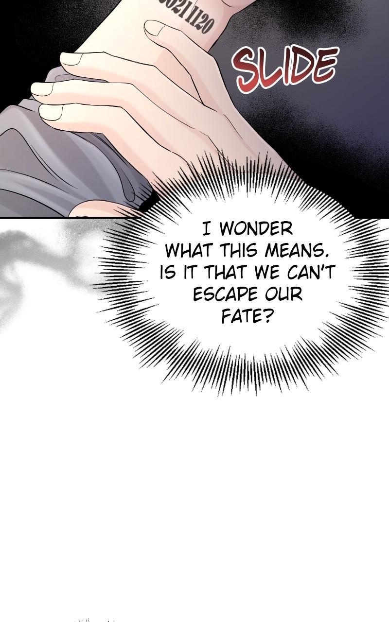 Read Perfect Marriage Revenge EN Manga Online