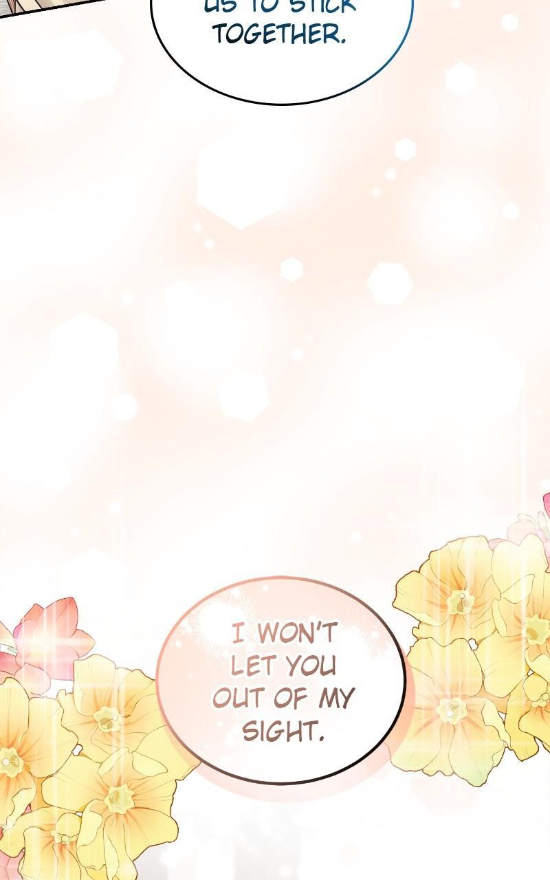 Read Perfect Marriage Revenge EN Manga Online