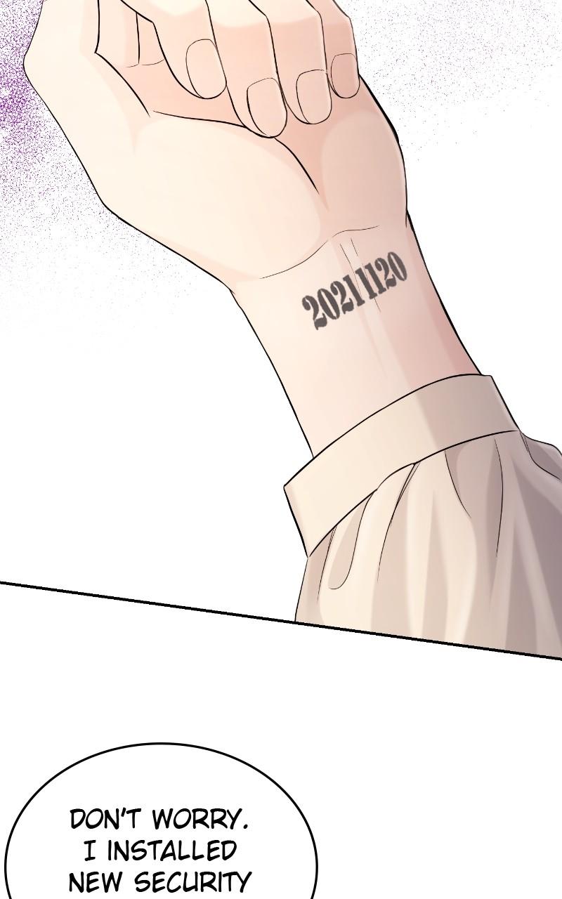 Read Perfect Marriage Revenge EN Manga Online