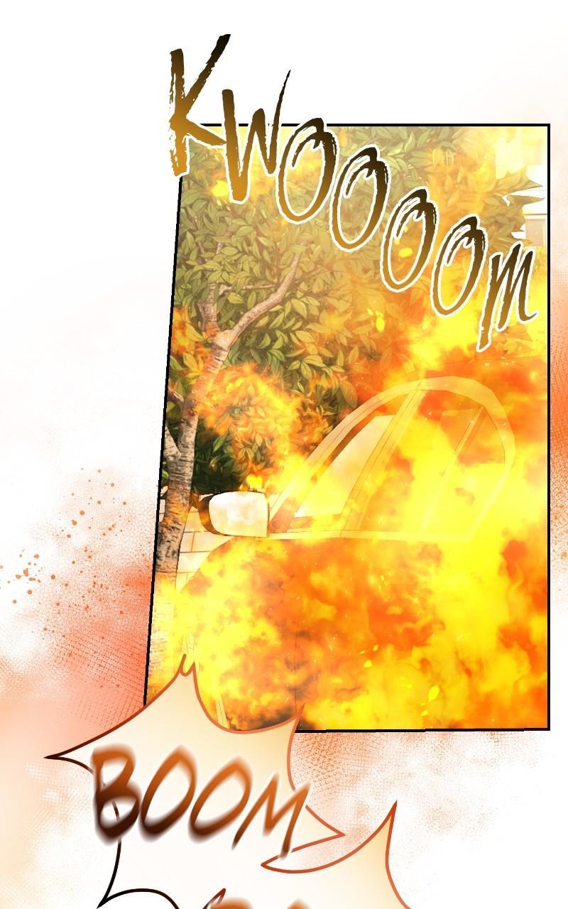 Read Perfect Marriage Revenge EN Manga Online