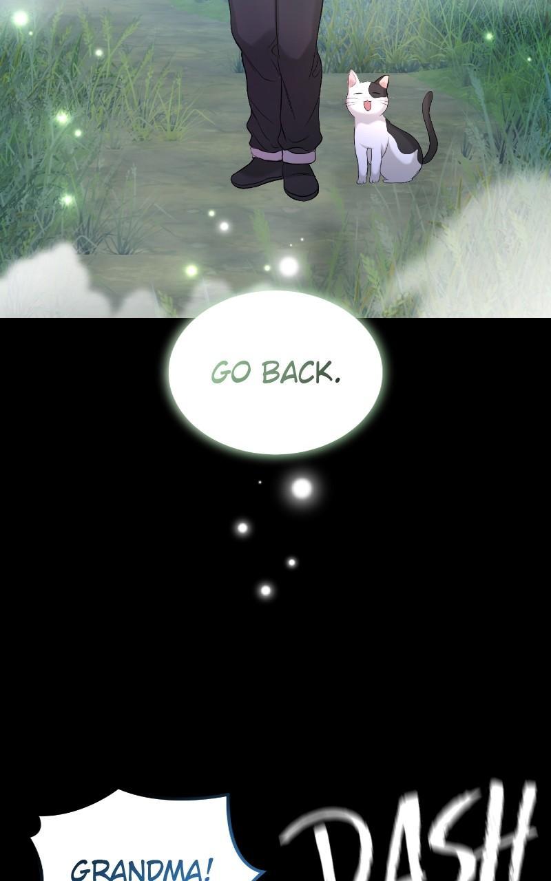 Read Perfect Marriage Revenge EN Manga Online