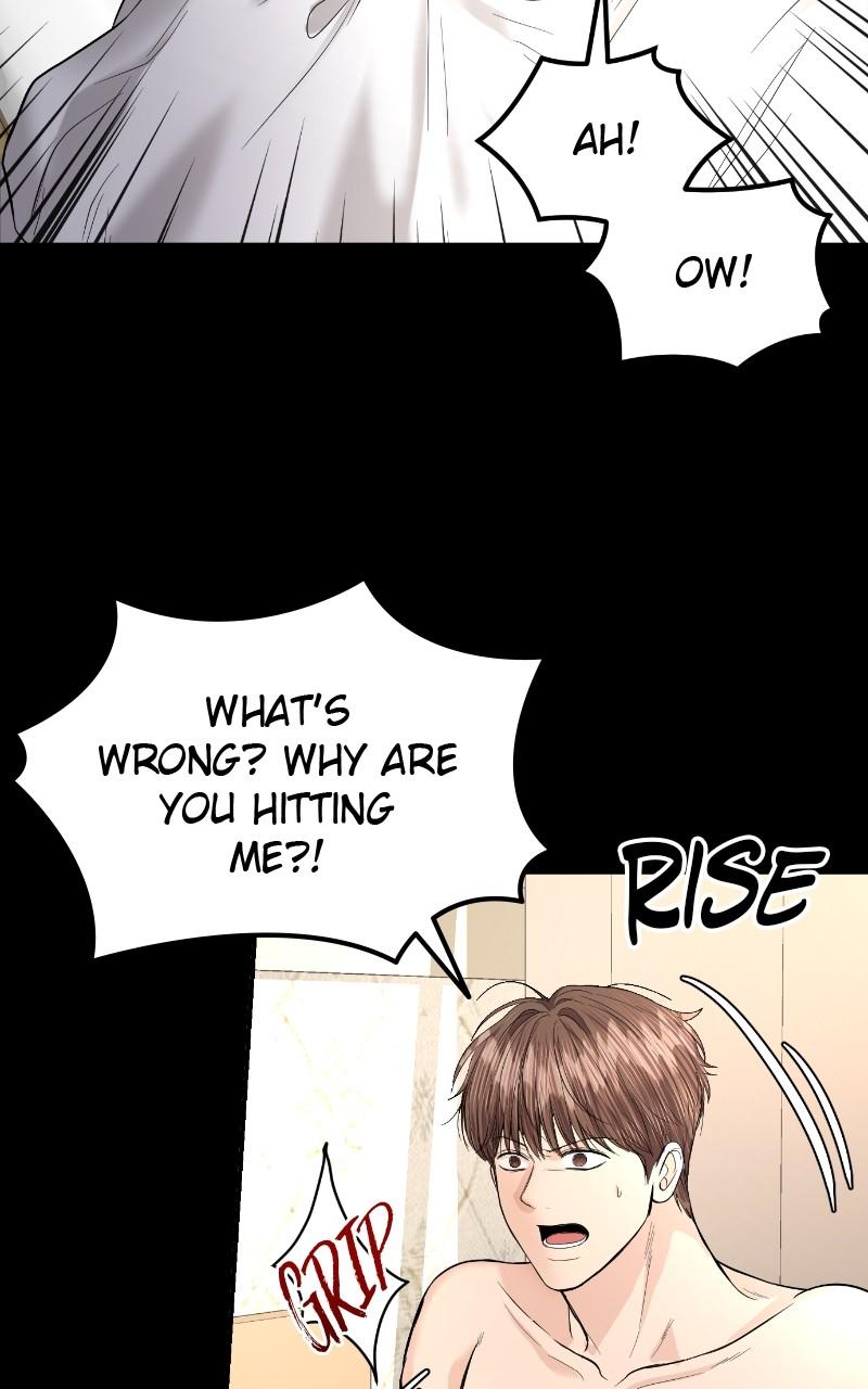 Read Perfect Marriage Revenge EN Manga Online