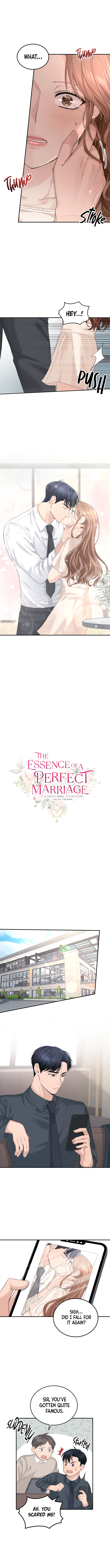 Read Perfect Marriage Revenge EN Manga Online