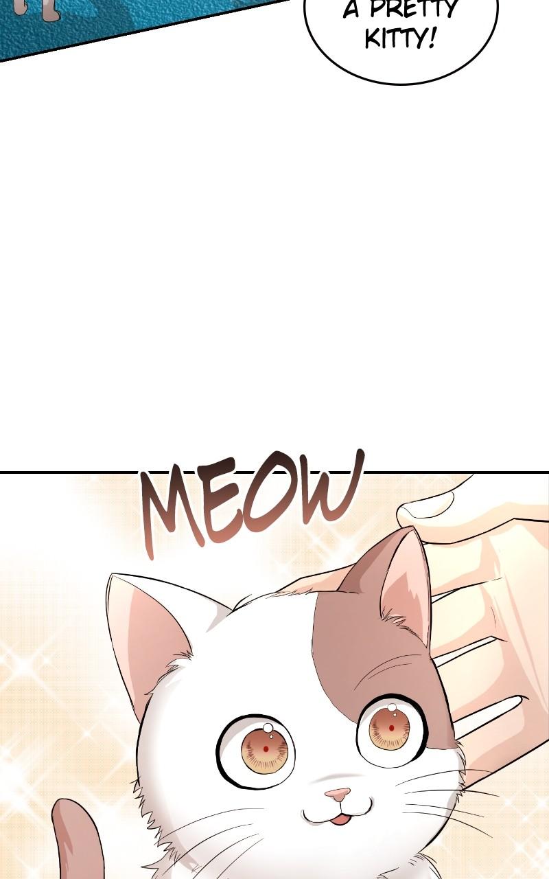 Read Perfect Marriage Revenge EN Manga Online