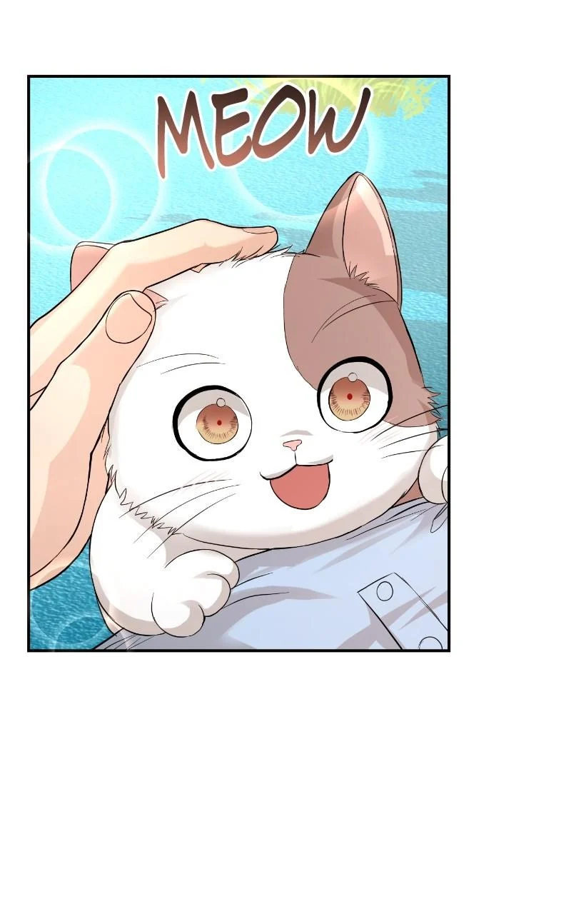 Read Perfect Marriage Revenge EN Manga Online