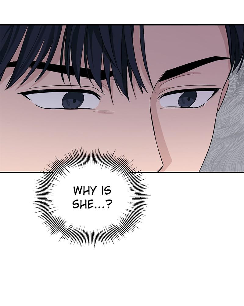 Read Perfect Marriage Revenge EN Manga Online