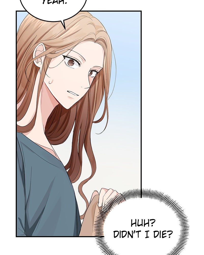 Read Perfect Marriage Revenge EN Manga Online