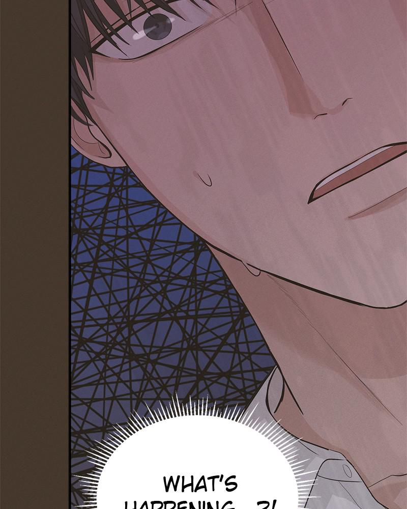 Read Perfect Marriage Revenge EN Manga Online