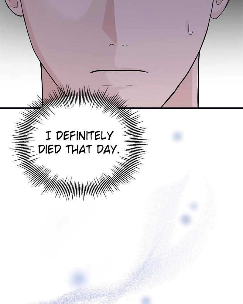 Read Perfect Marriage Revenge EN Manga Online