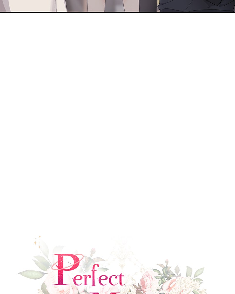 Read Perfect Marriage Revenge EN Manga Online